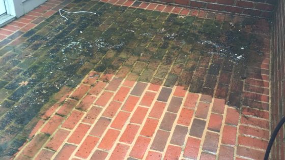 Patio Paver Cleaning — Cleantech Power Washing Service